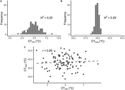 Integrating GWAS and Transcriptomics to Identify the Molecular Underpinnings of Thermal Stress Responses in Drosophila melanogaster